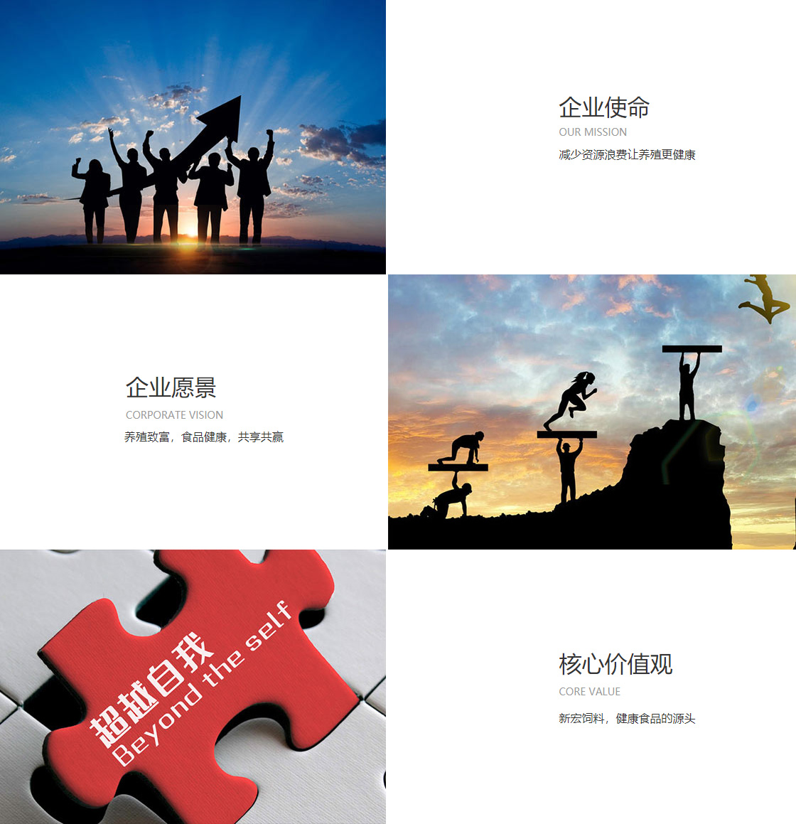 2024新奥资料1688原网